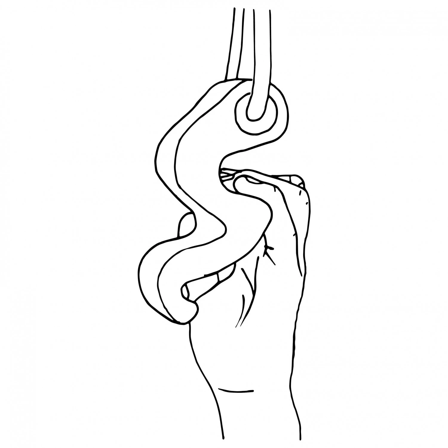 Max Climbing Maxgrip - Trainingsgriffe 4 Max Climbing Maxgrip - Trainingsgriffe – Bild 2