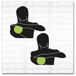 Noppenball- / Massageball-Set -Kletter Pro Verkauf schildkroet fitness noppenball massageball set detail 9